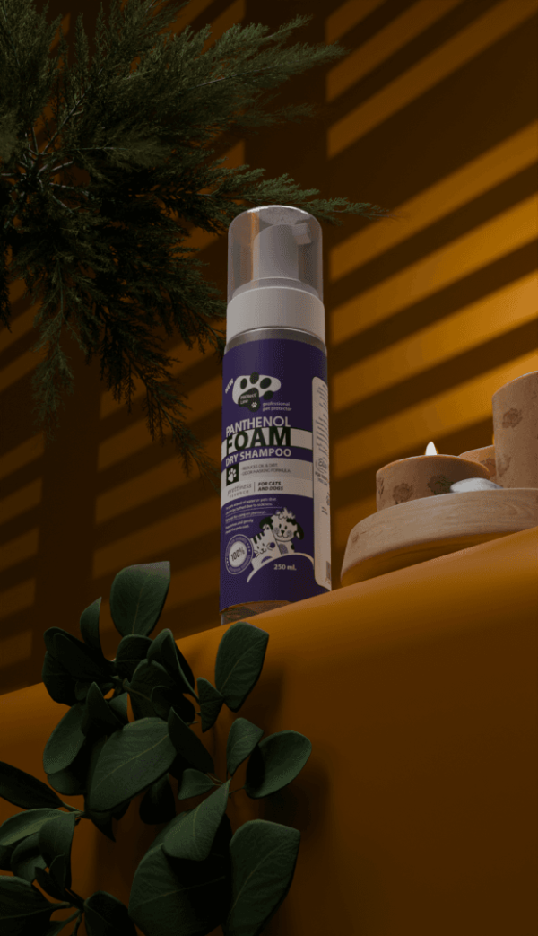 Protect line shampoo Foam (Feel Prettiness Scent)