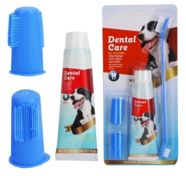 Dog dental care set: Double-headed toothbrush with toothpaste.