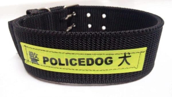 Dog collar size black