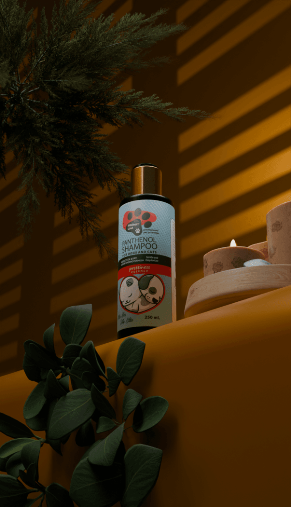 ⁦Protect line shampoo Panthenol Anti fleas-Ticks ( Feel Prettiness Scent)⁩ - الصورة ⁦2⁩