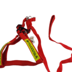 حبل بصدرية بوليسي