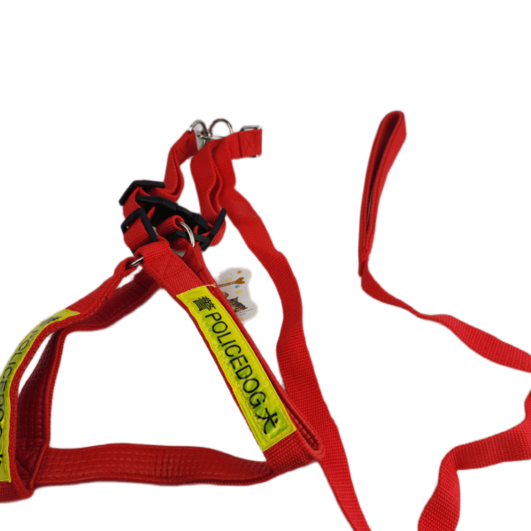 حبل بصدرية بوليسي