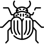 براغيث وقراد