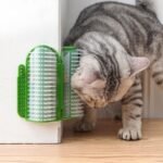 Cactus Corner Groomer