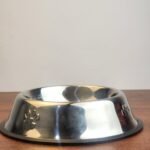 Classic Stainless Steel Pet Bowl