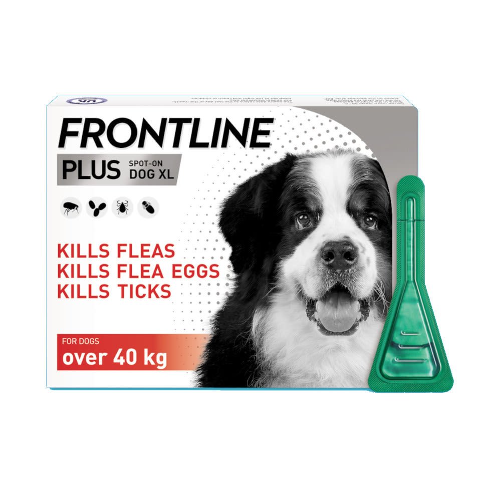 38761621521669 Frontline Combo Spot-On Dog XL Over 40kg) (3 Pipettes) - الصورة 1